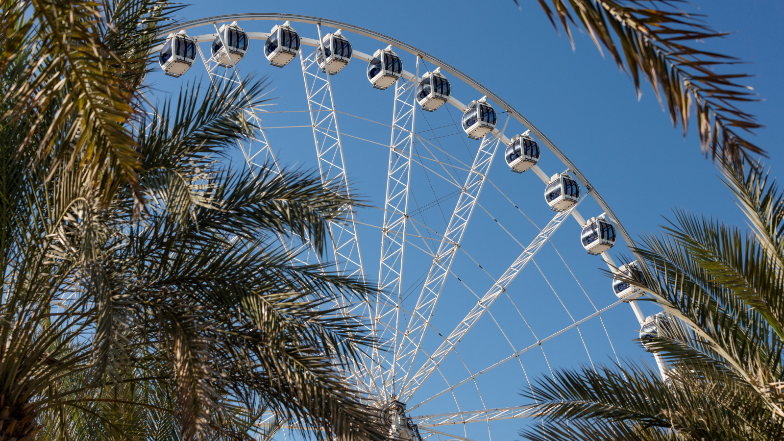 Marina Eye Ferris Wheel